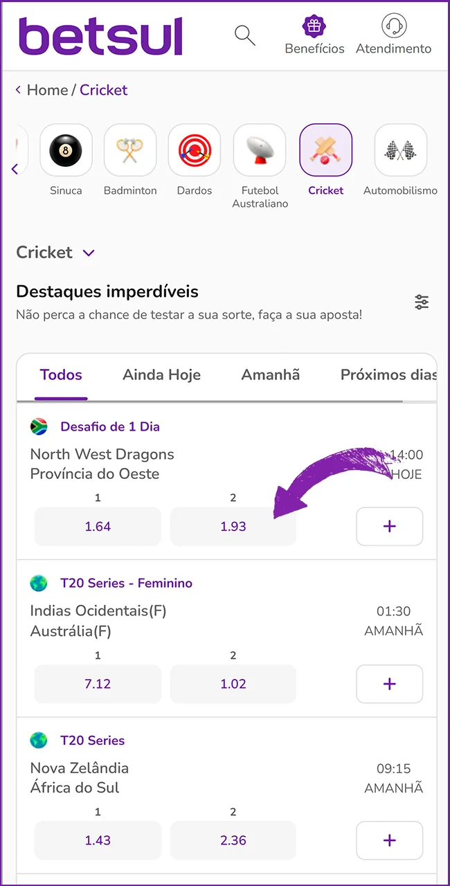 Escolha seu esporte na Betsul.