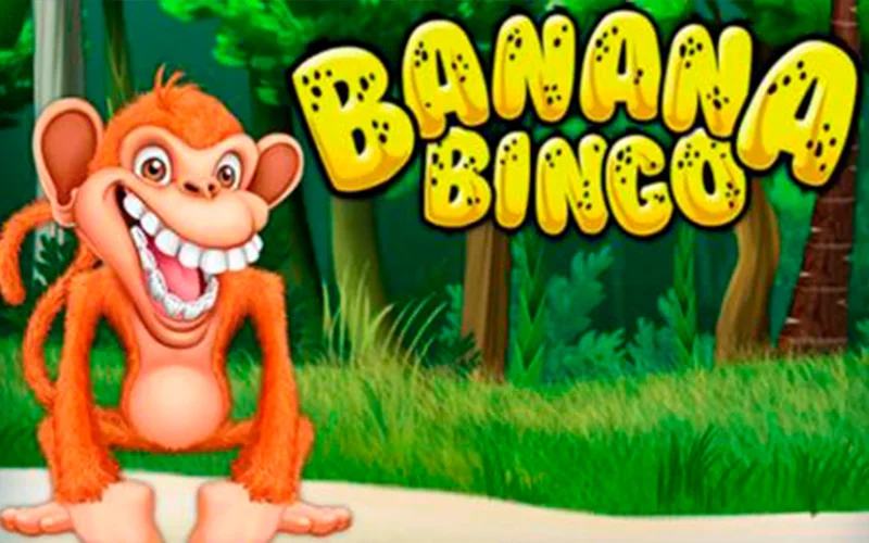 Aproveite Banana Bingo na Betsul online.